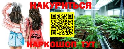 гидра Бийск