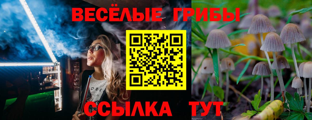Галлюциногенные грибы мицелий  Вход с VPN  Зеленокумск 